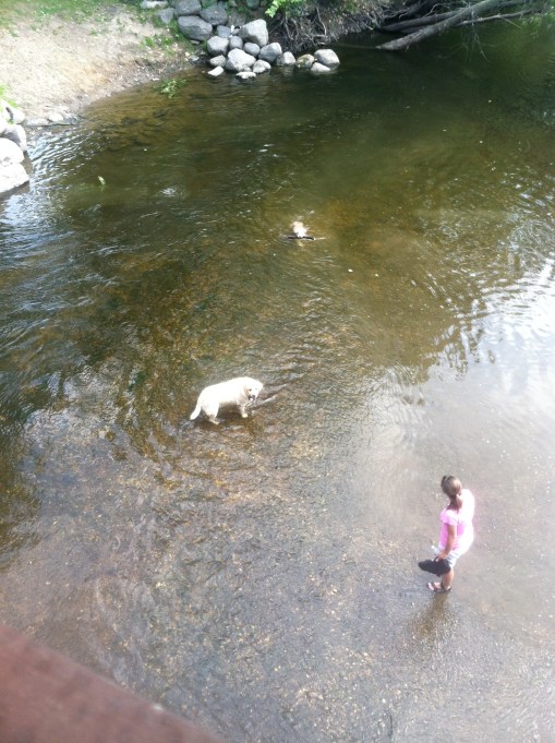 Perks to outdoor running: so many dogs to swoon over! 